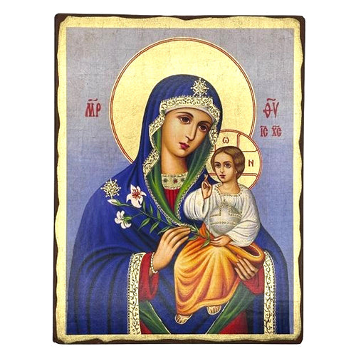 SW20x15 - 141 - Virgin Mary Eternal Bloom