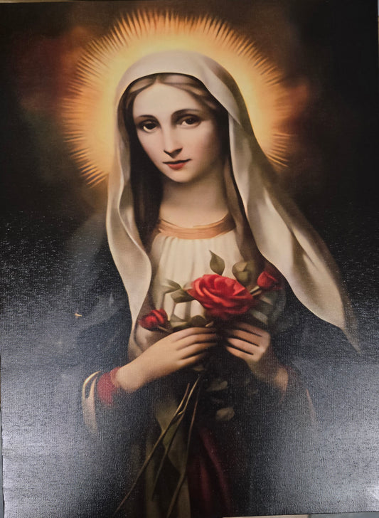 Portrait - Immaculate Heart of Mary