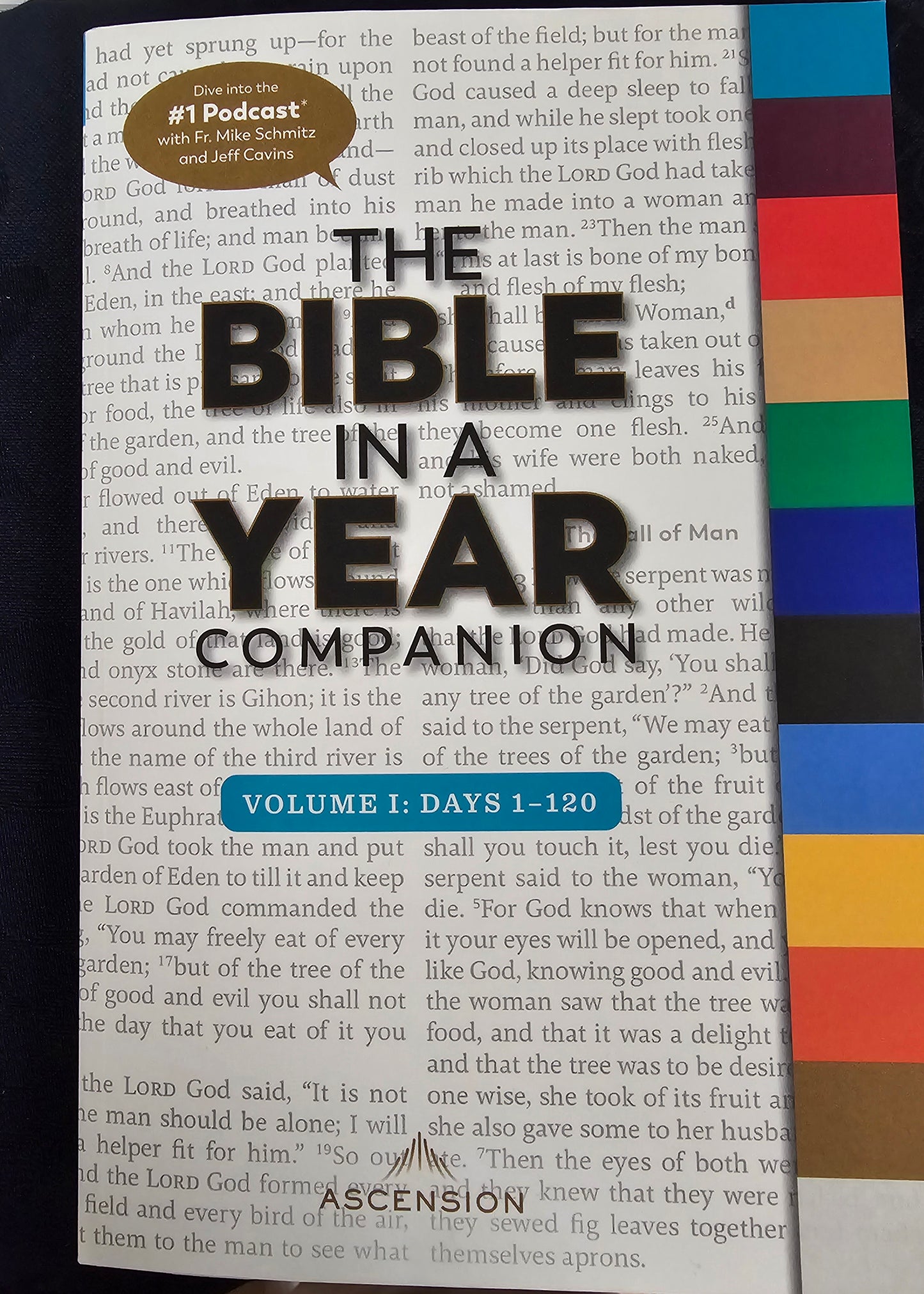 The Bible in  A Year Companion