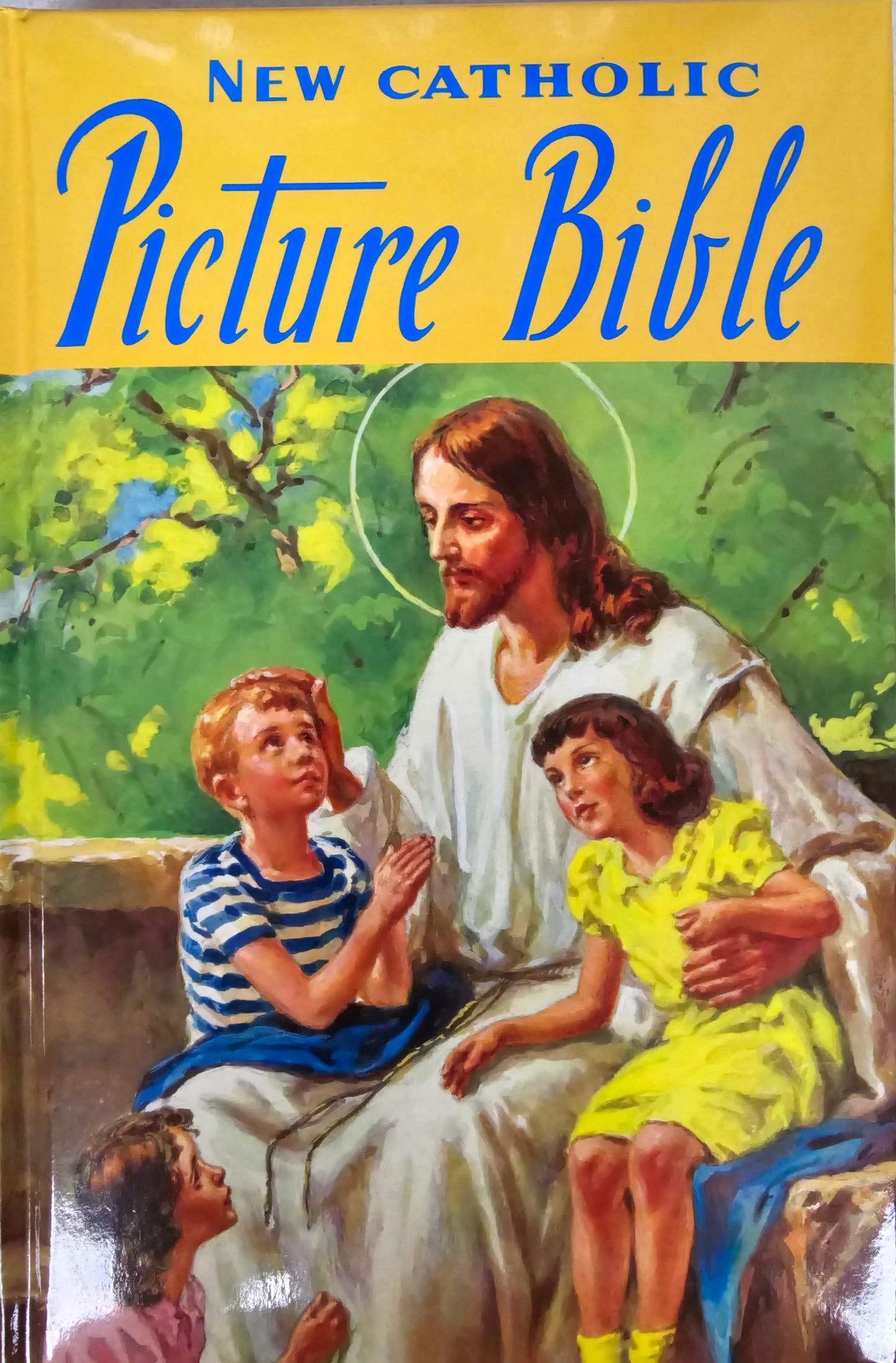 New Catholic Picture Bible