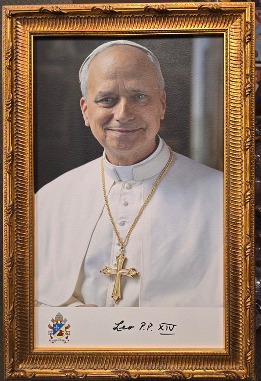 Pope 19x29" Framed Pope Leo X1V Portrait