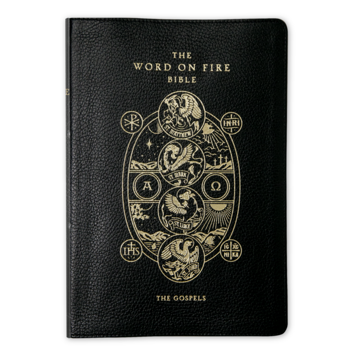 Bible - Word on Fire - Gospel