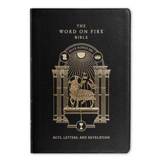 Bible - The Word on Fire - Acts, Letters and Revelation