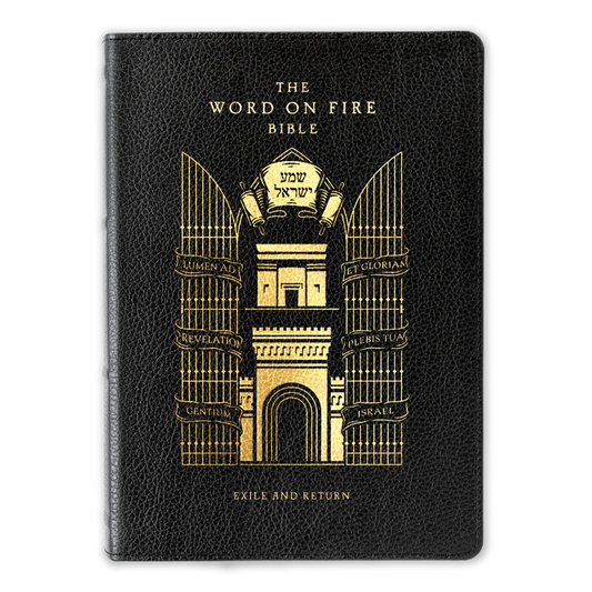Word on Fire Bible - Exile and Return