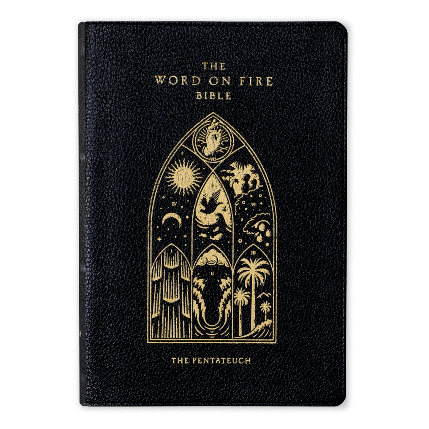 Word on Fire - The Pentateuch