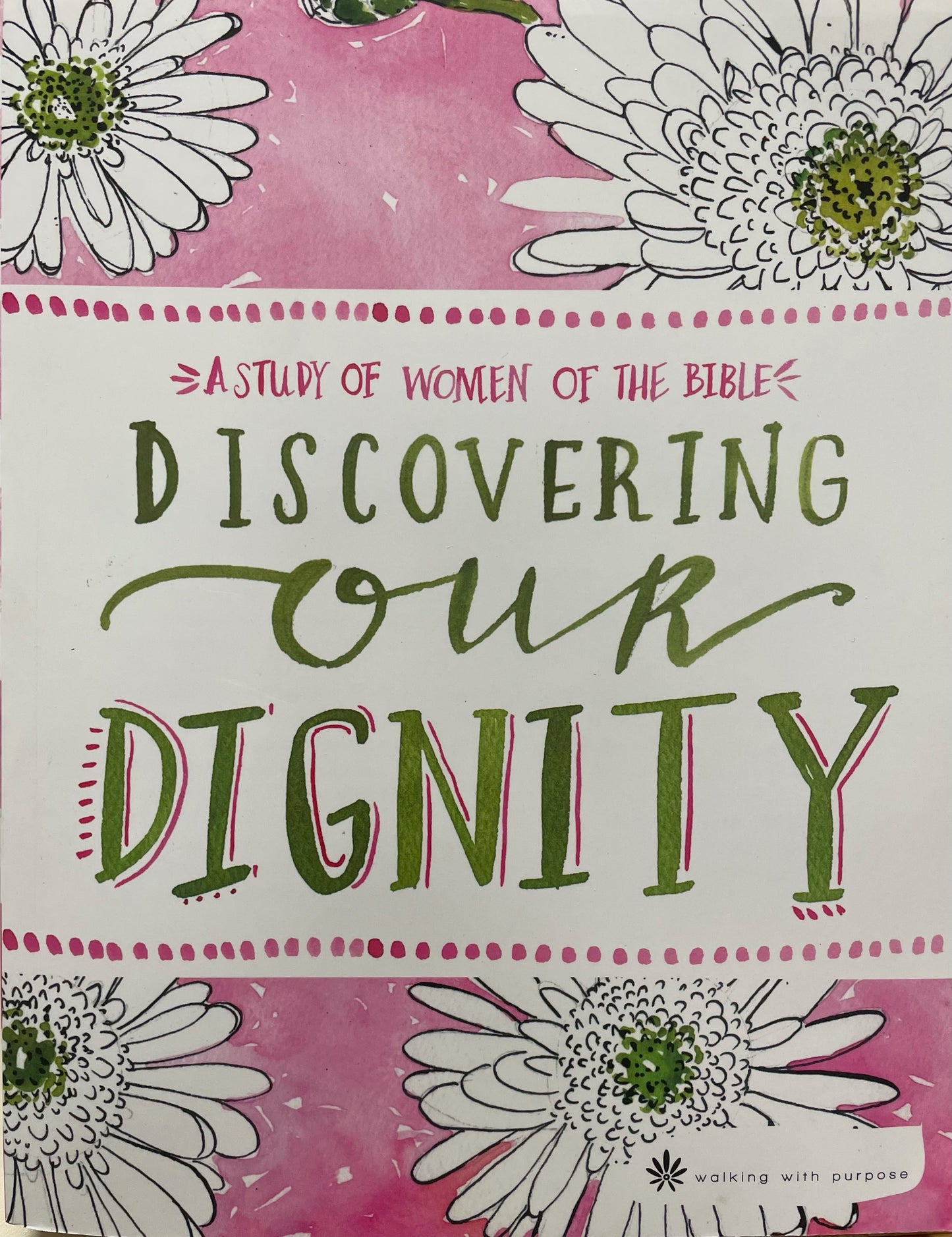 Walking With Purpose: Discovering Our Dignity - DVD