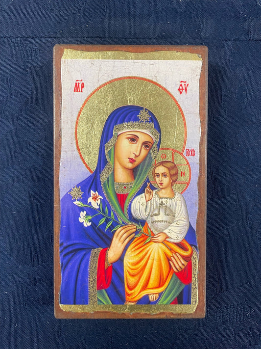 Virgin Mary Bloom - 15cm x 8cm